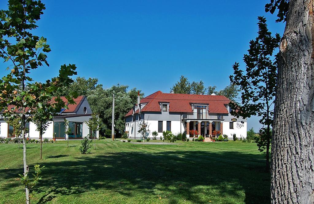 Penzion Platan Dunajska Streda Exterior photo