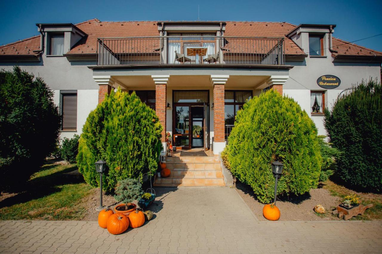 Penzion Platan Dunajska Streda Exterior photo